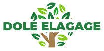 Dolé Elagage